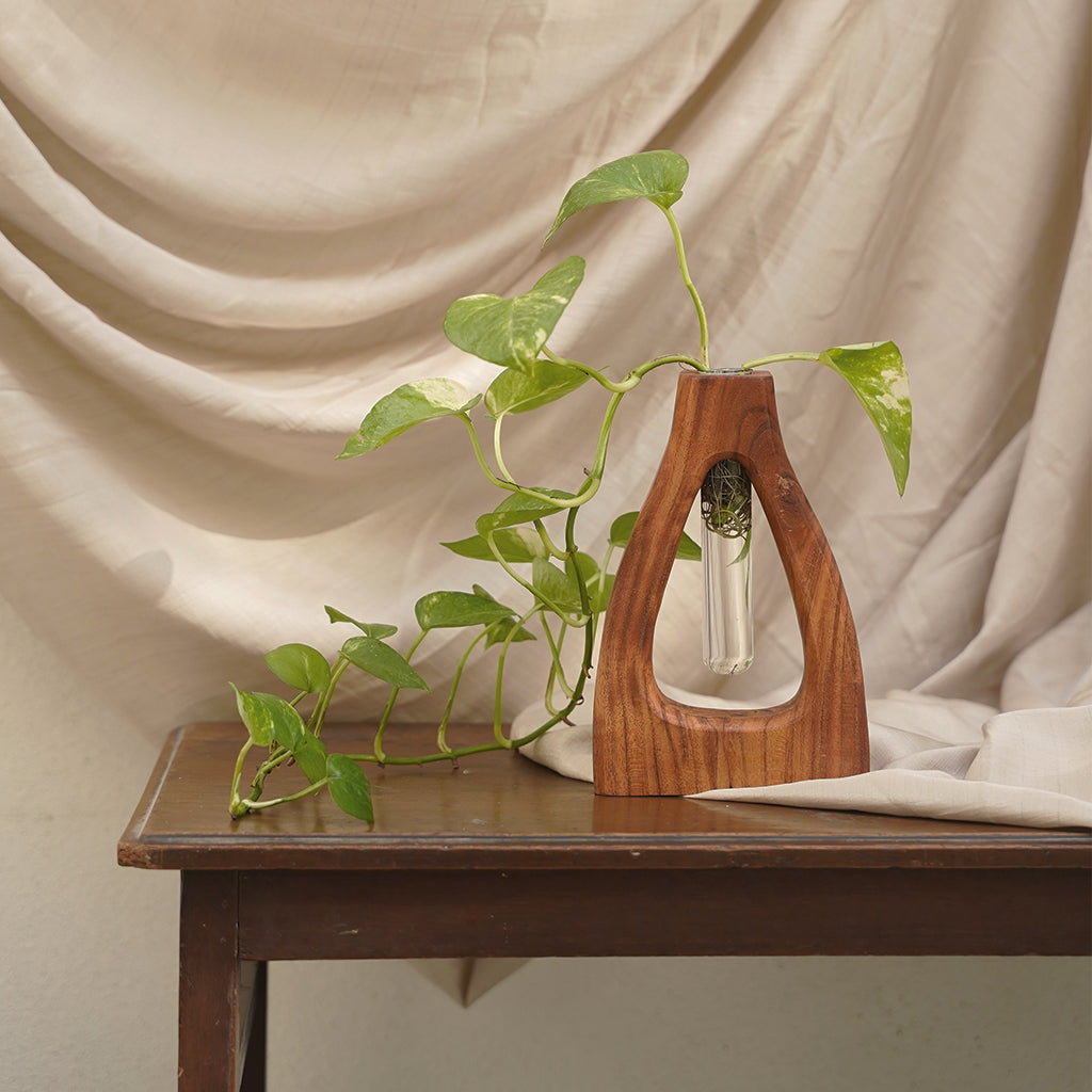 TEST TUBE PLANTER D