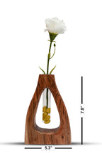TEST TUBE PLANTER D