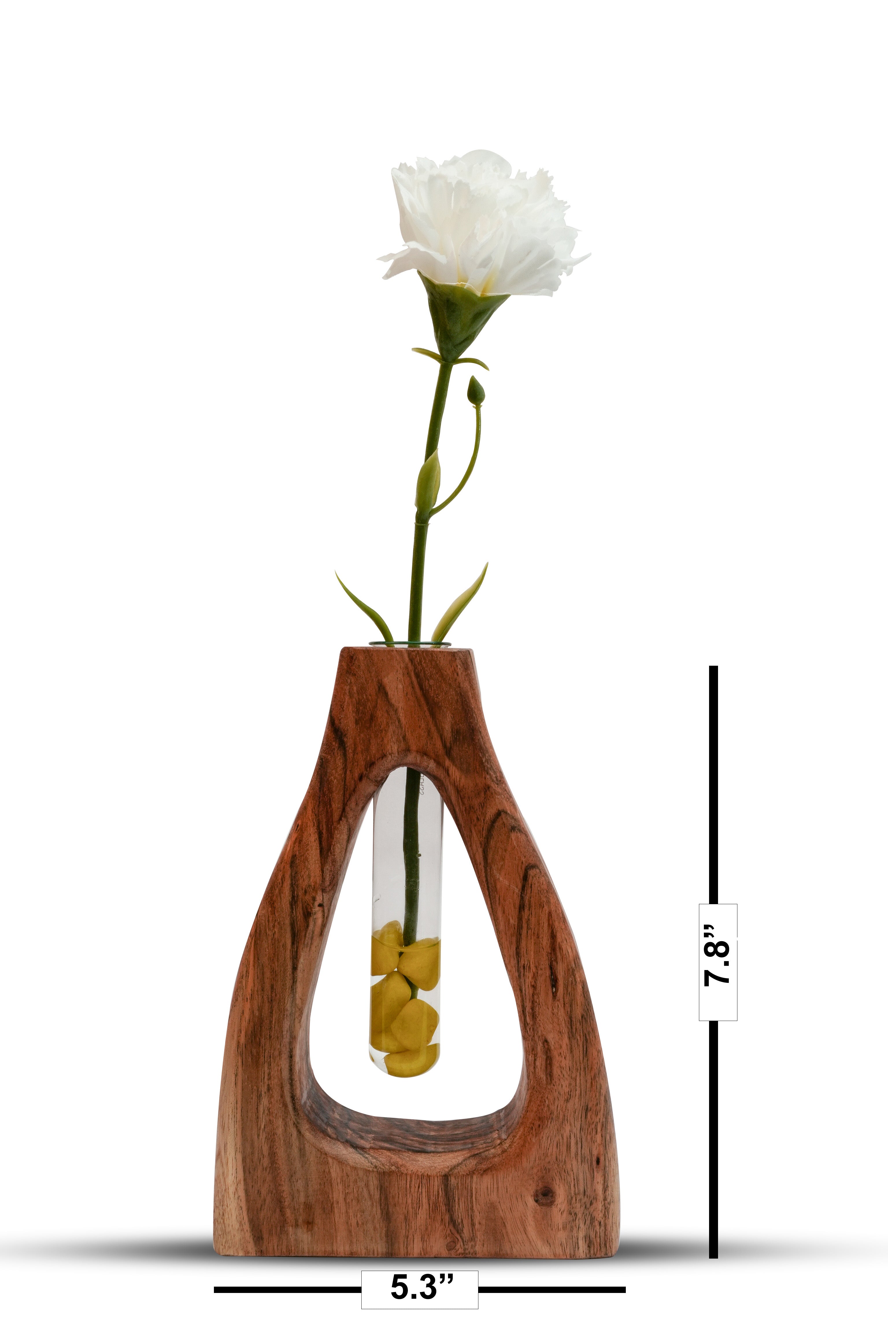 TEST TUBE PLANTER D