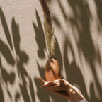 PLANTER 8