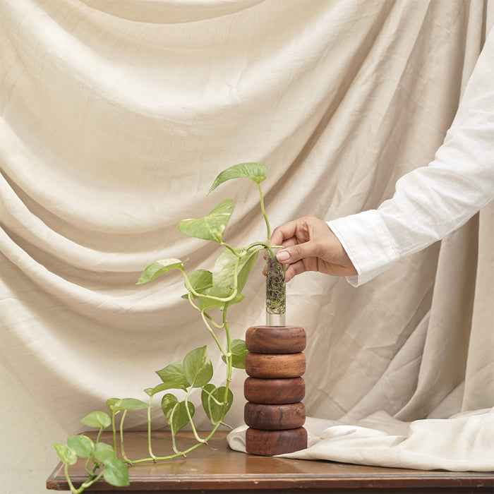 Multi- Functional Test Tube Planter 61/2