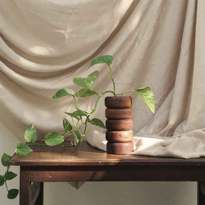 Multi- Functional Test Tube Planter 61/2