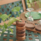 Multi- Functional Test Tube Planter 61/2