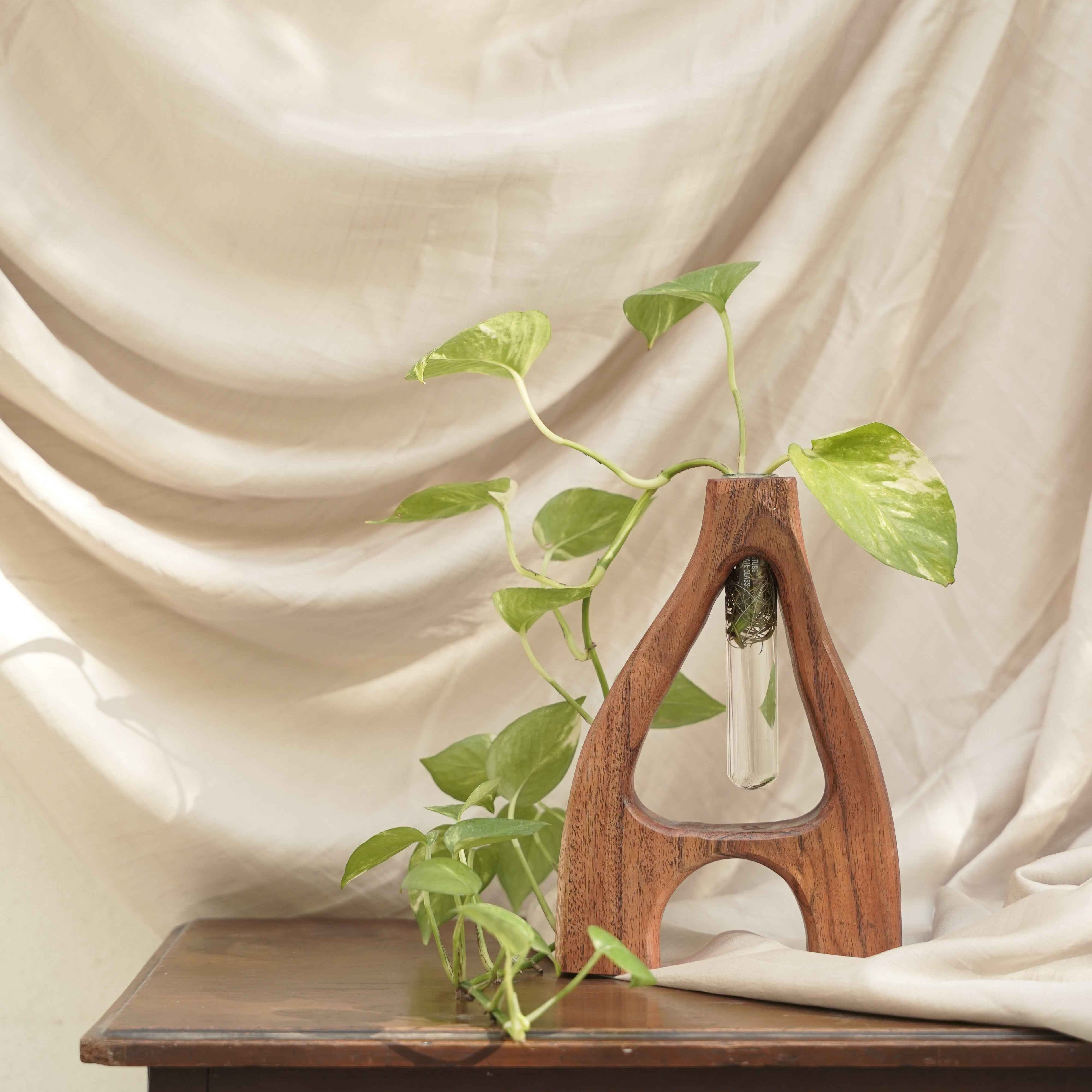 Test Tube Planter E